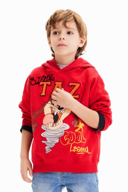 Looney Tunes hoodie Desigual Boy 2ZPR1726 Clothing