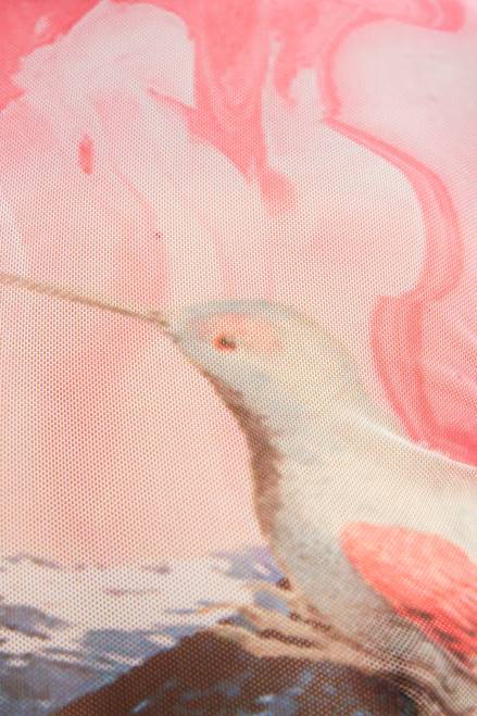 Short slim fantasy T-shirt Desigual Women 2ZPR528 Clothing